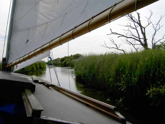 Horsey Mere