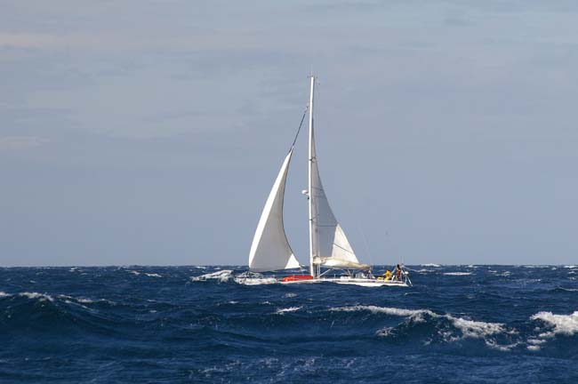 Wind und Welle - so macht Segeln Spaß (dk)