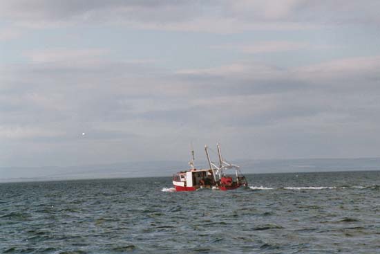 Kleines Fischerboot verläßt den Firth of Forth