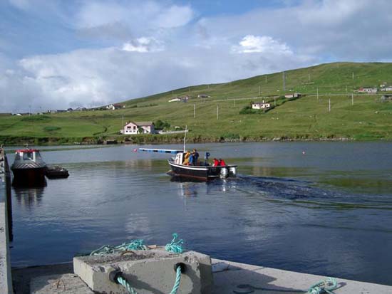 Blick über die Bucht von Voe