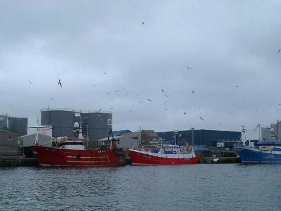 Peterhead South Harbour - Trawler  