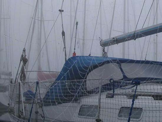 Spinnennetz im Compagnieshaven in Enkhuizen