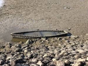 Ausflug zum Möhnesee